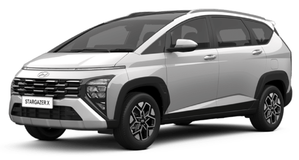 WARNA STARGAZER X (1)