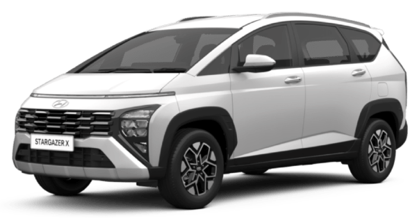 WARNA STARGAZER X (10)