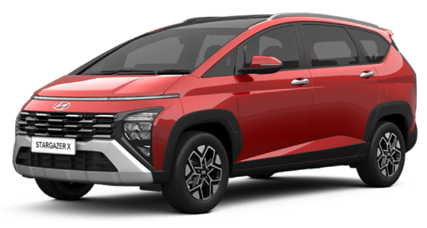 WARNA STARGAZER X (2)