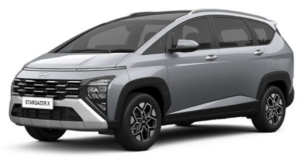 WARNA STARGAZER X (3)