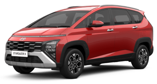 WARNA STARGAZER X (5)