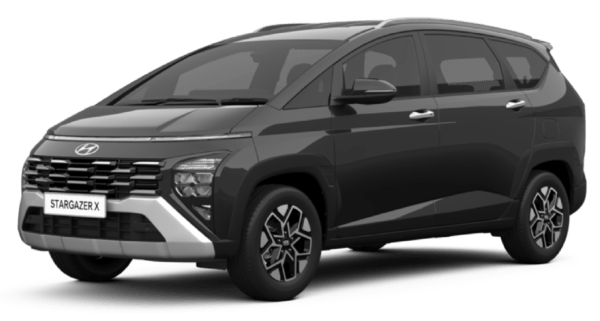 WARNA STARGAZER X (8)